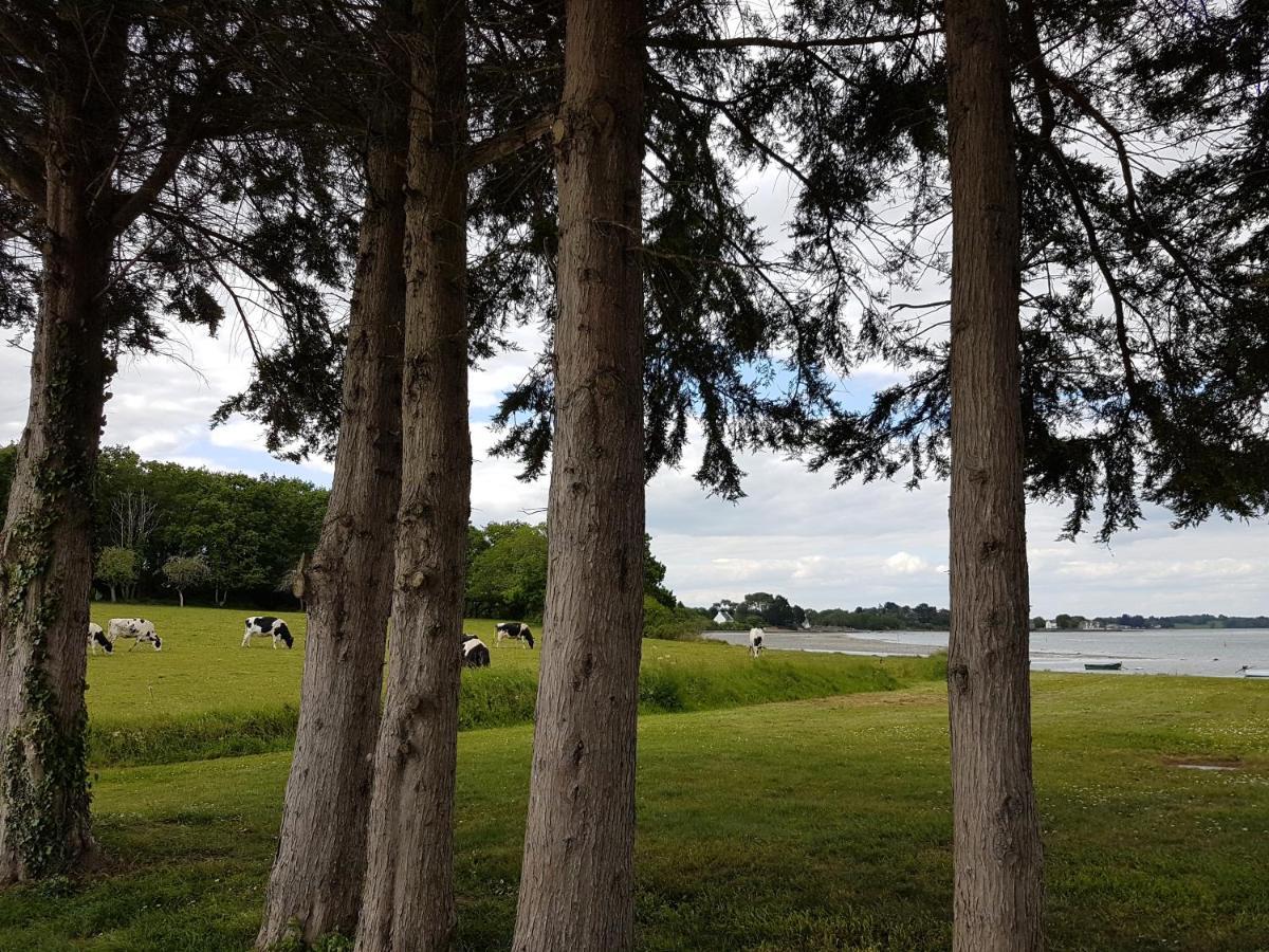 L'Arbre Voyageur Hotel Locoal-Mendon Kültér fotó